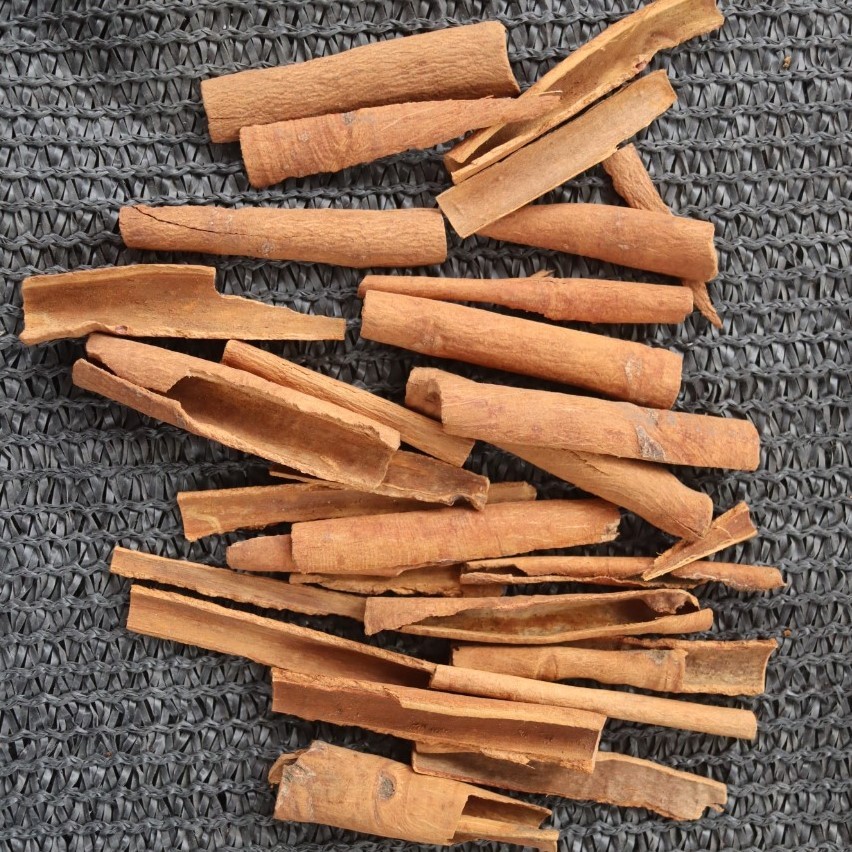 Broken cassia KABC